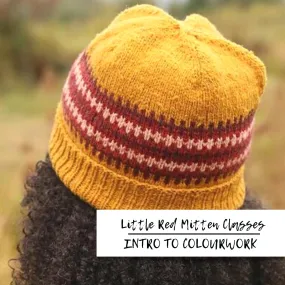 Intro To Colourwork